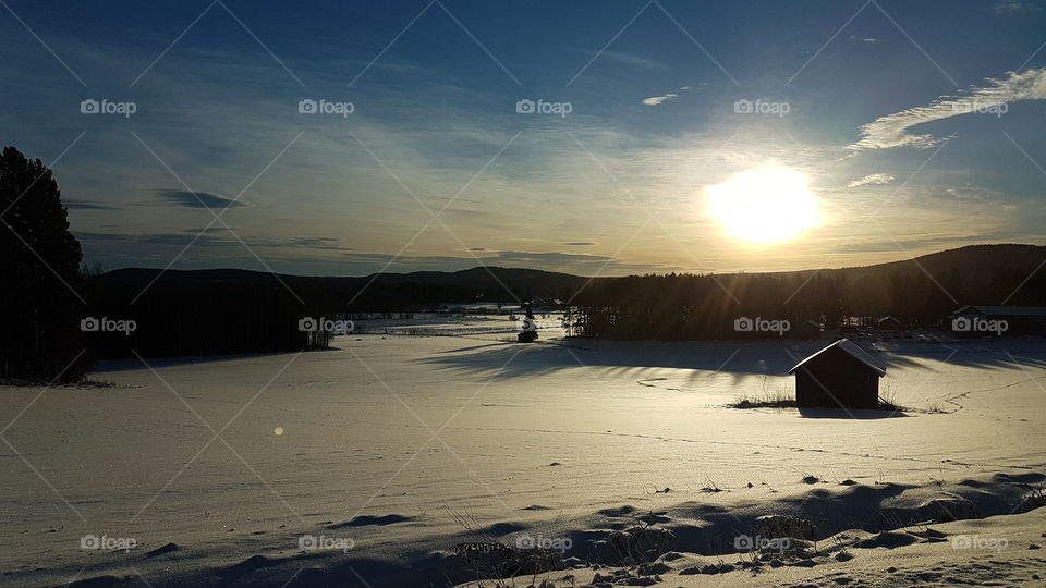 Winter landscape