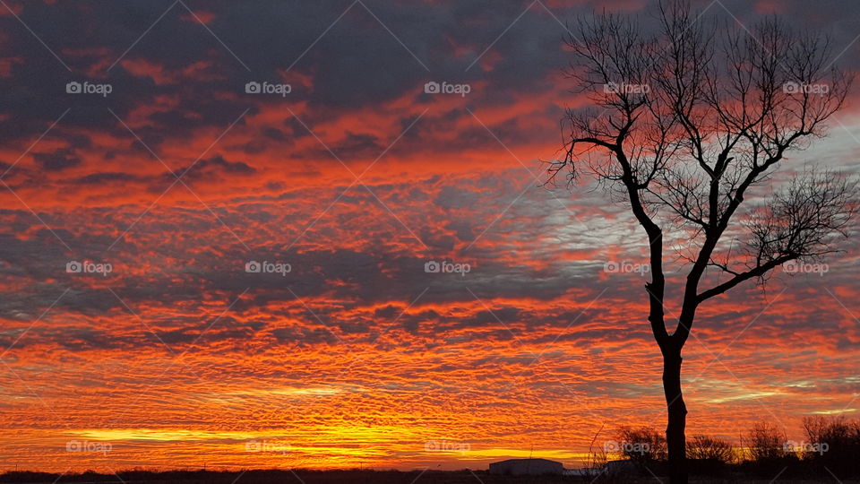 Sunrise Over Slaughterville Oklahoma