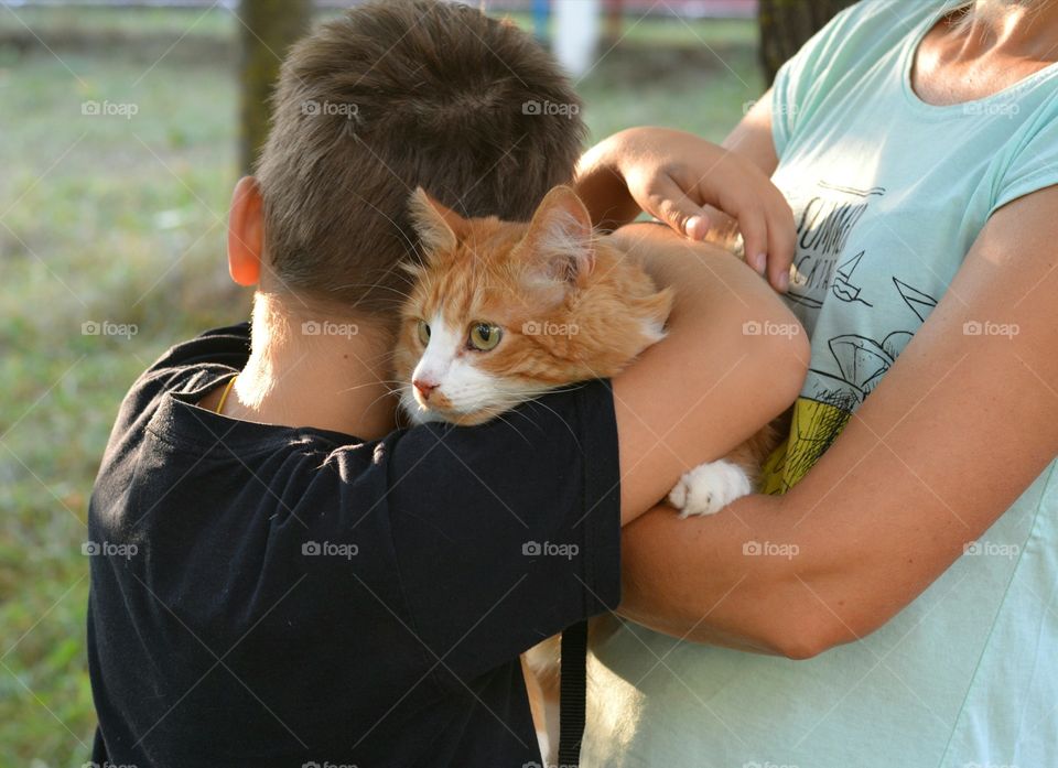 cat pet on a hands with child family love