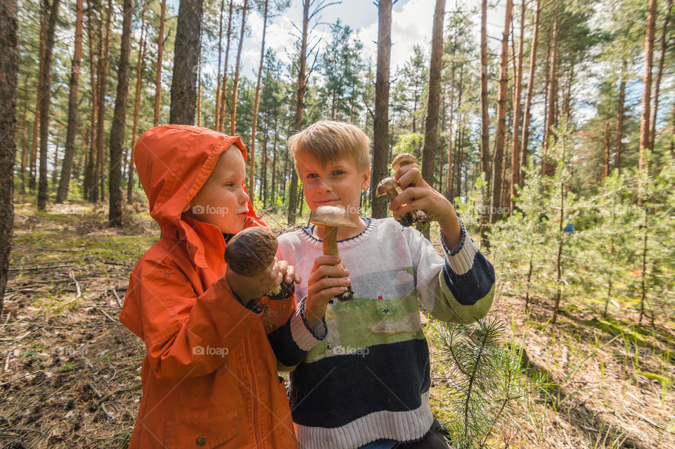 Boys with mushrooms they gathered