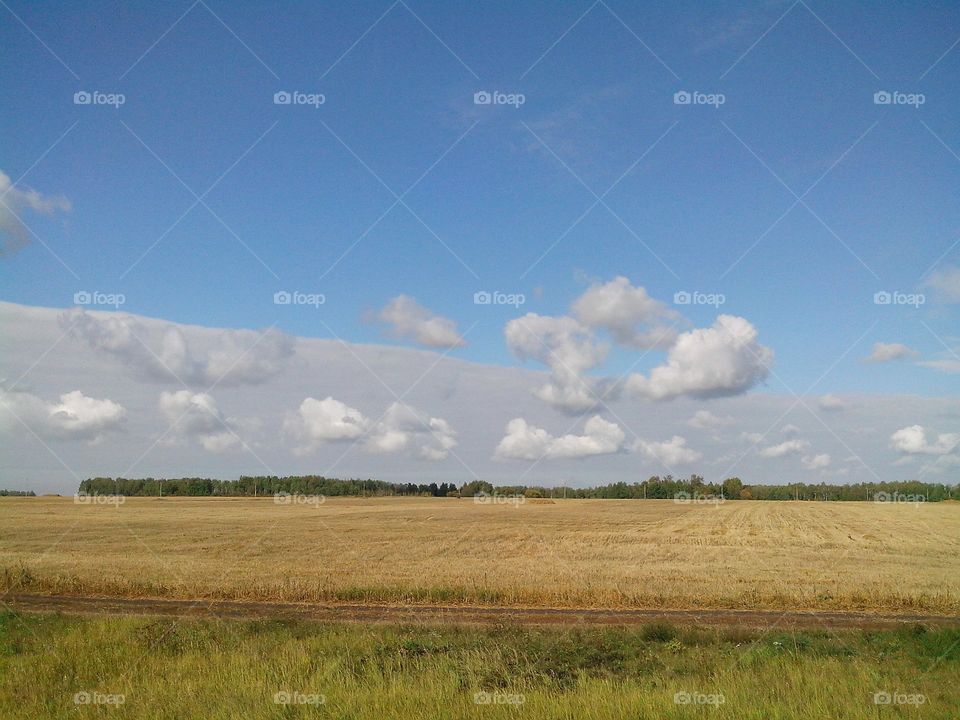 Поле_небо_облака