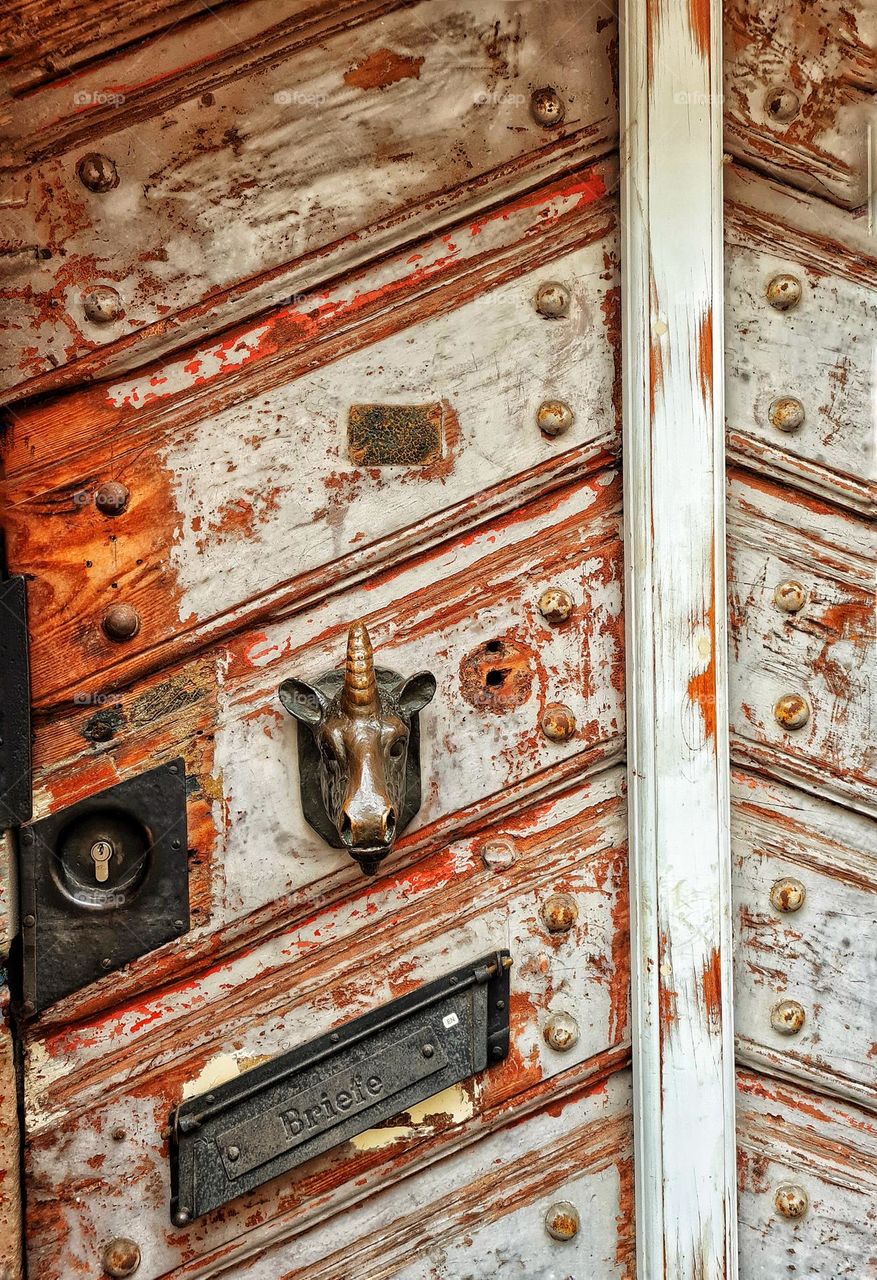 rhinoceros door handle