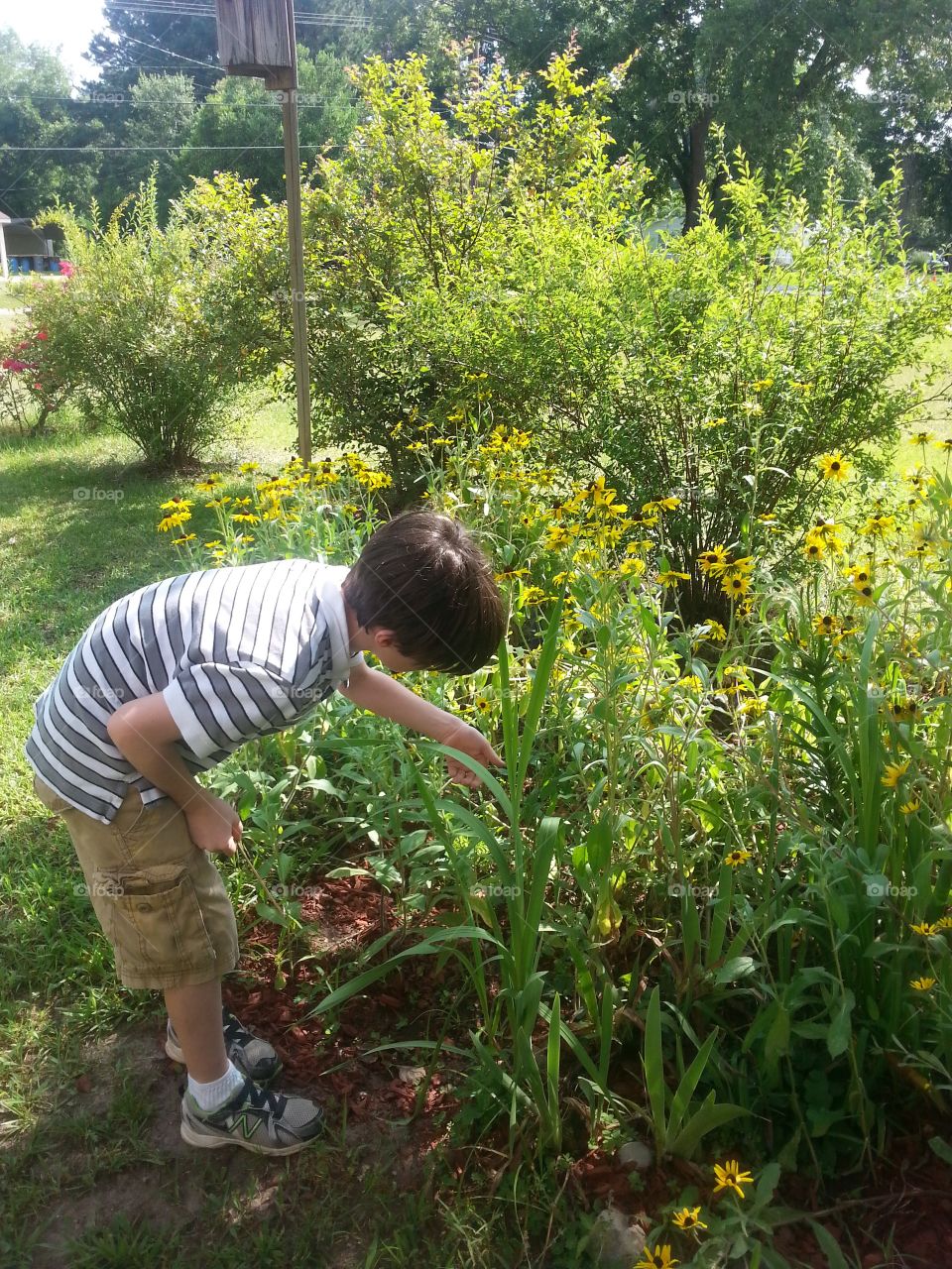 Young boy looking at the flowers in grandmas garden.