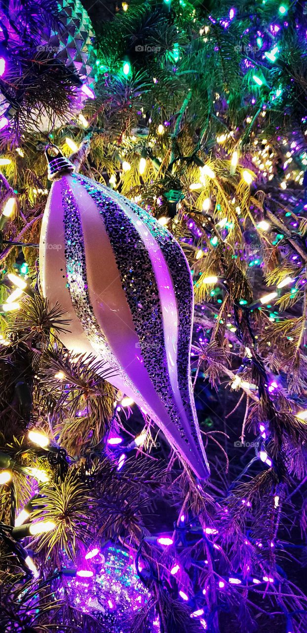 its beginning to look a lot like  Christmas