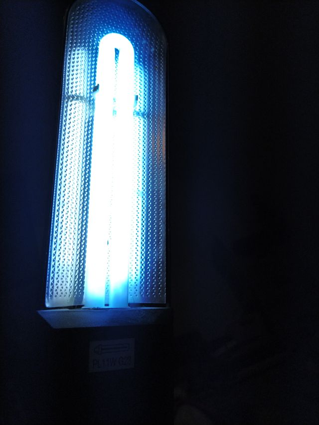 luminescent lamp