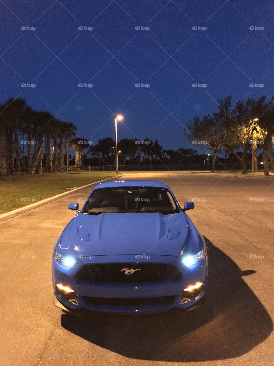 Blue Car Parked Under A Light