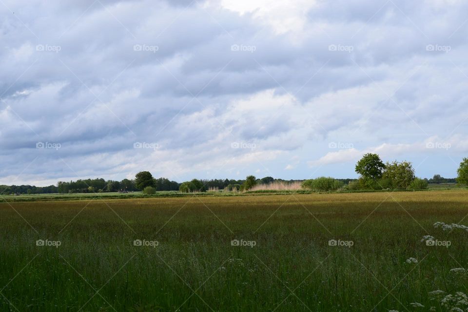 Wiesenlandschaft am Süd - Nord - Kanal
