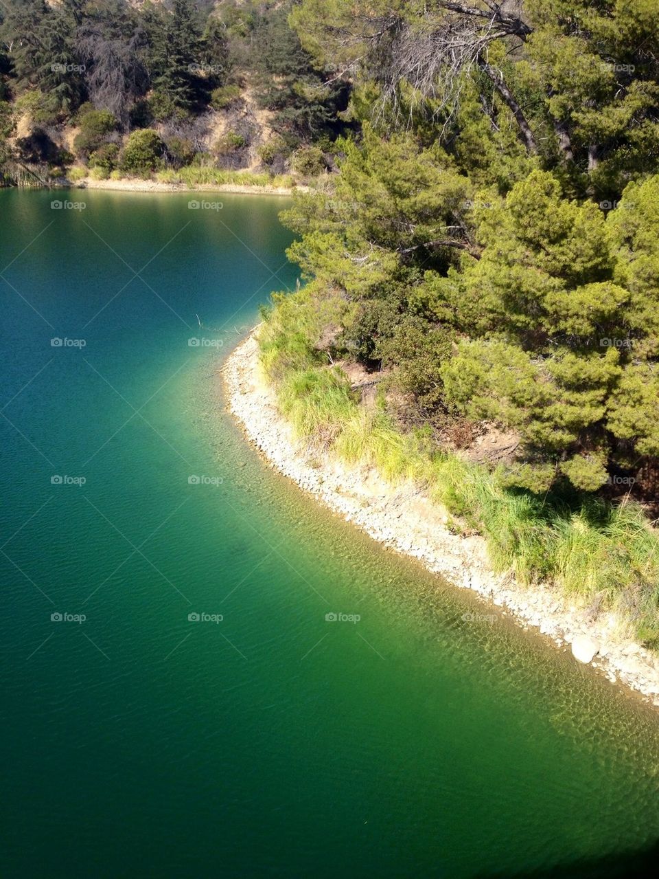 High angle view of lake hollywood