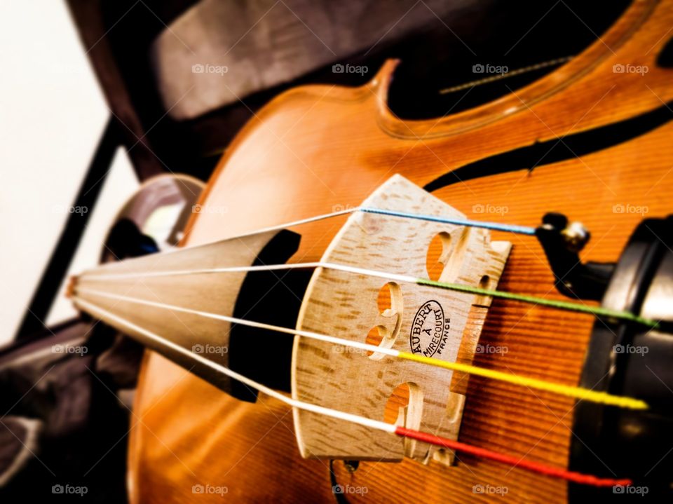 violin close up image of bridge