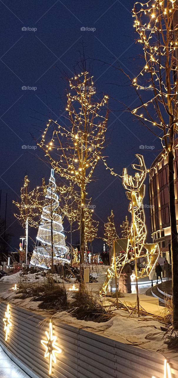 beautiful Christmas and New year night light street, Christmas tree