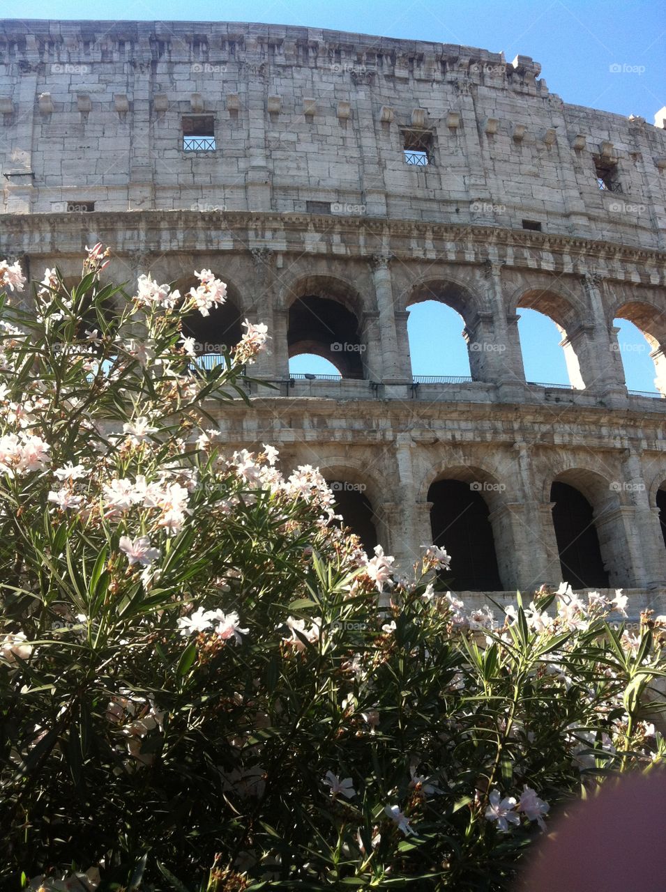 Coliseum . Vacation in Roma