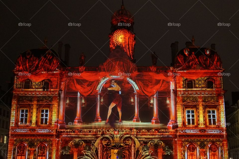 Terre aux Lumières, Lyon 2014