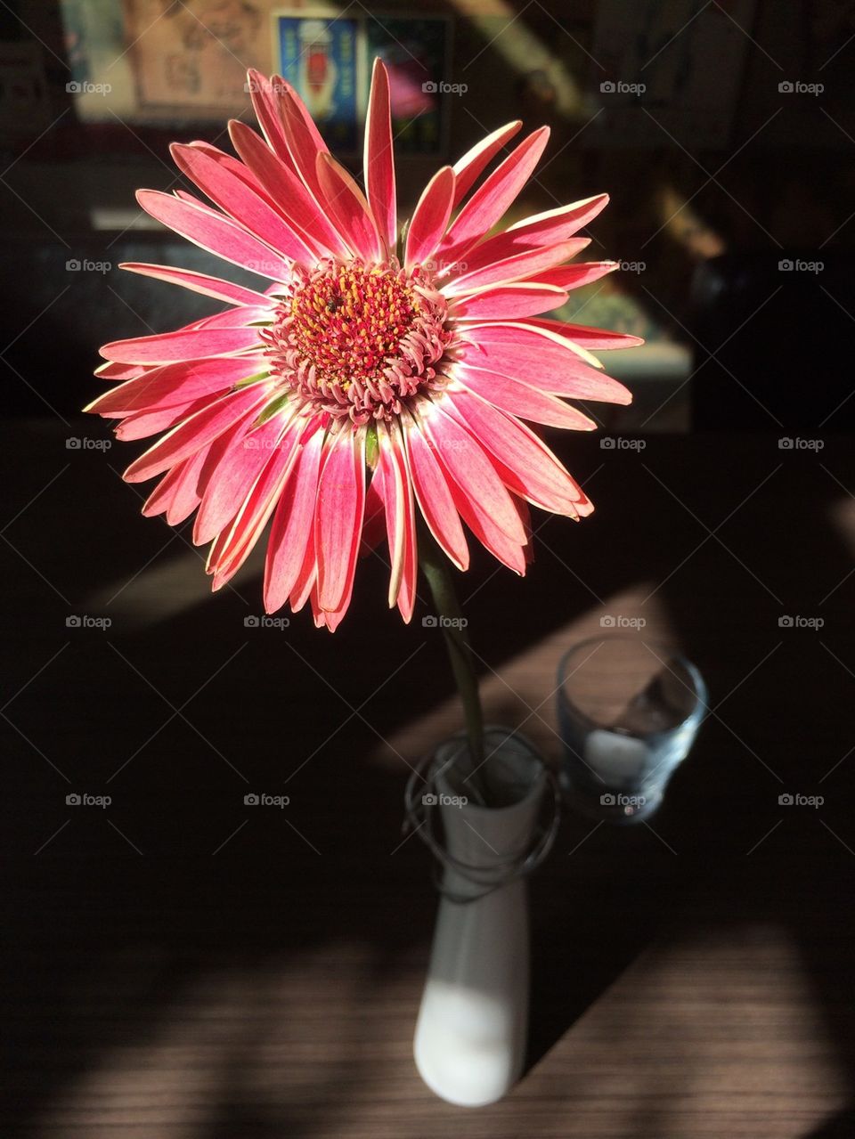 Flower On table