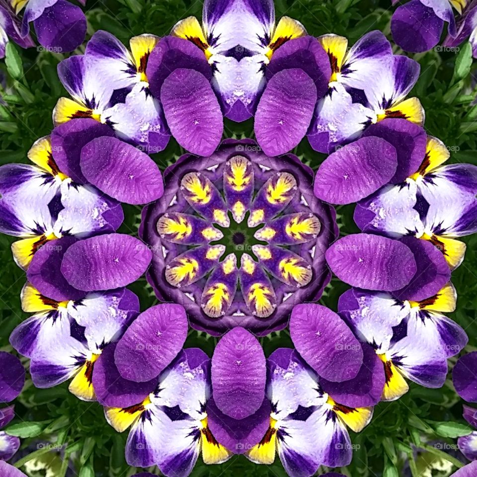 flowers mandala