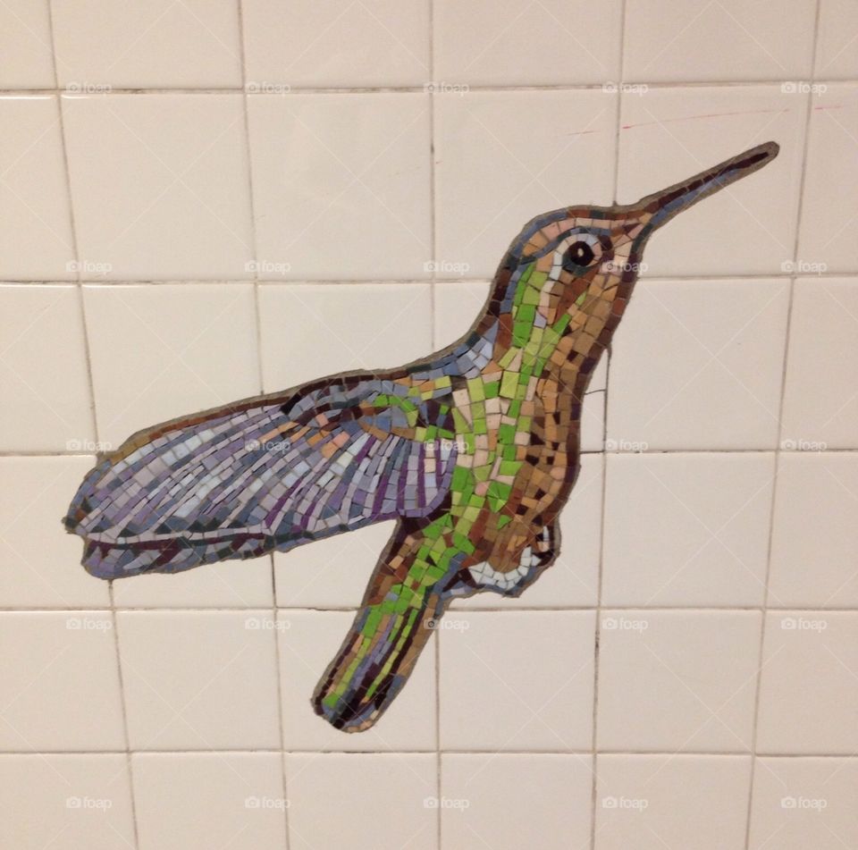 Hummingbird tile mosaic on New York City subway wall, Natural History Museum, tile artwork