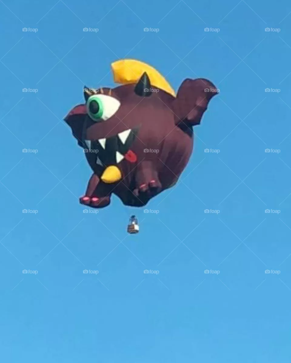 Hot air balloon 