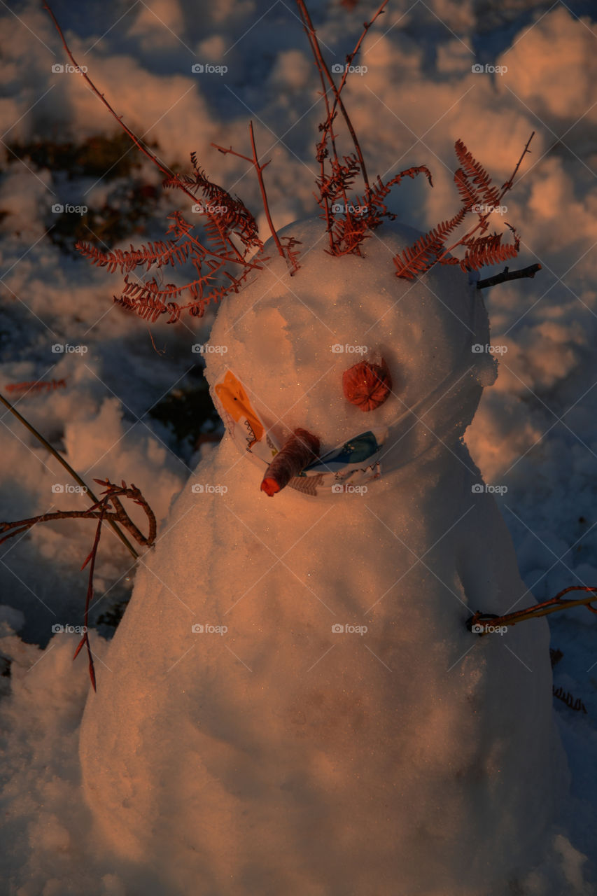 Snowman