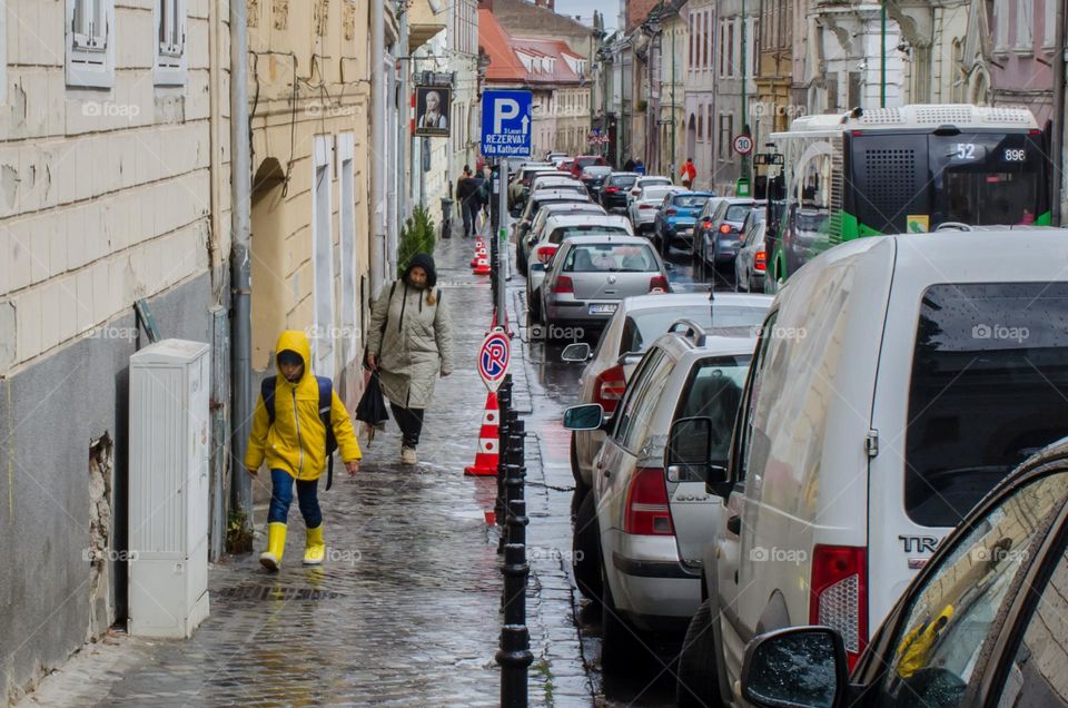 Cars in Rainy Day