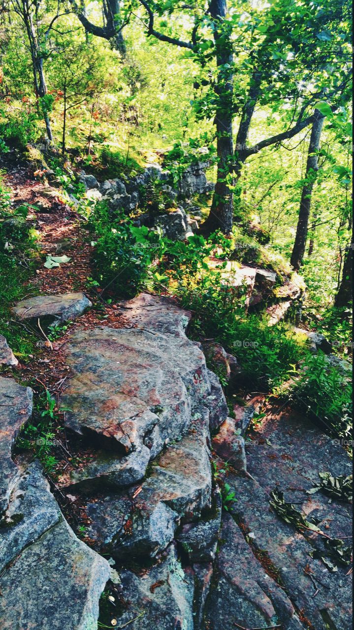 Rocky trail