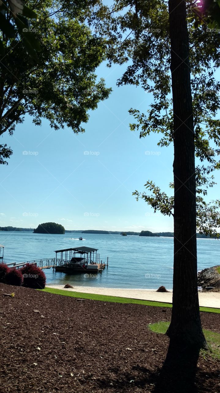 No Person, Tree, Water, Landscape, Nature