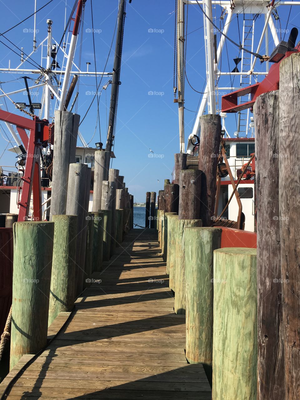 Fishing docks 