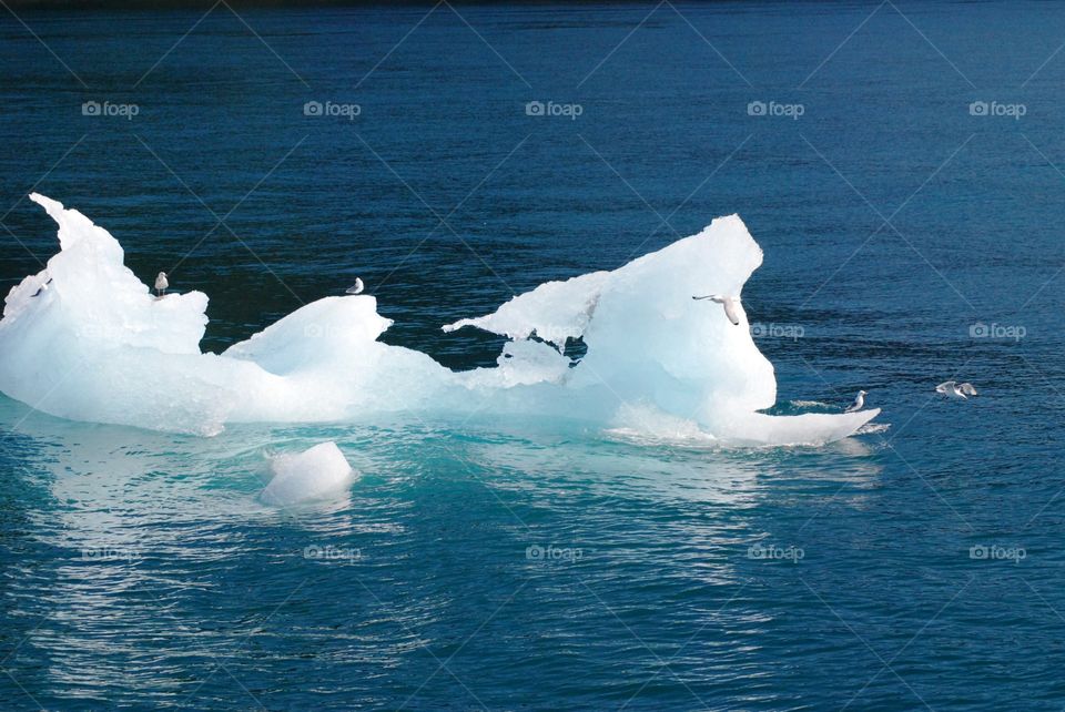 Glacier ice chunk