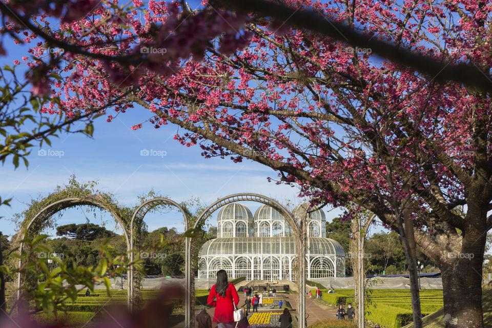 Color red - botanical of Curitiba.