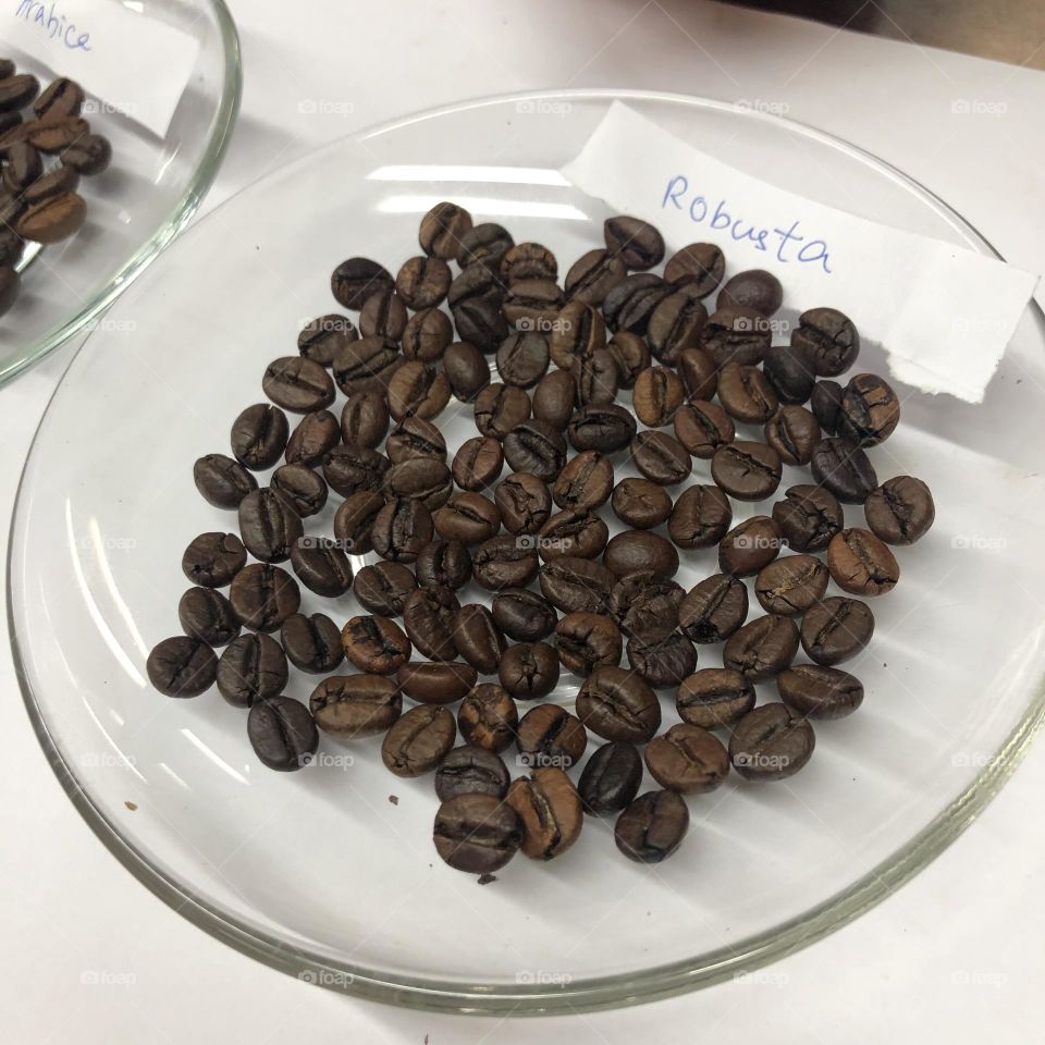 Robusta coffee beans