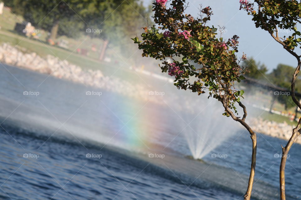 Water fountain Rainbow