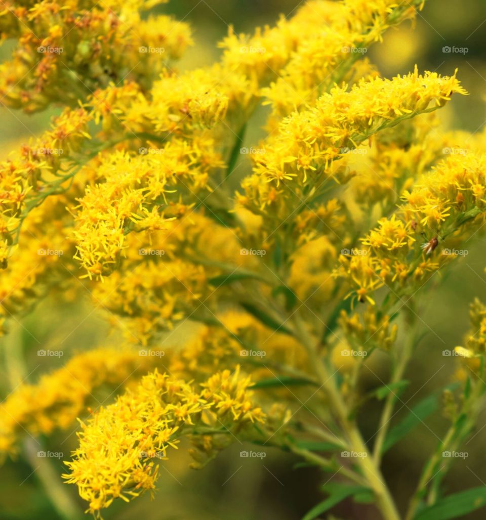 Bright and Beautiful 