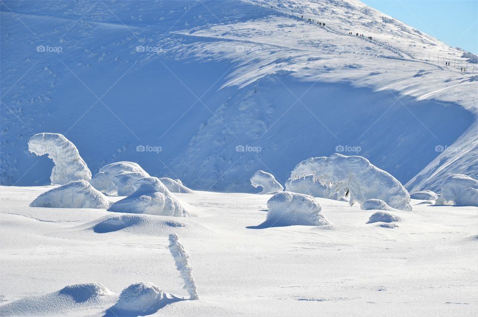 Winter in the mountains
