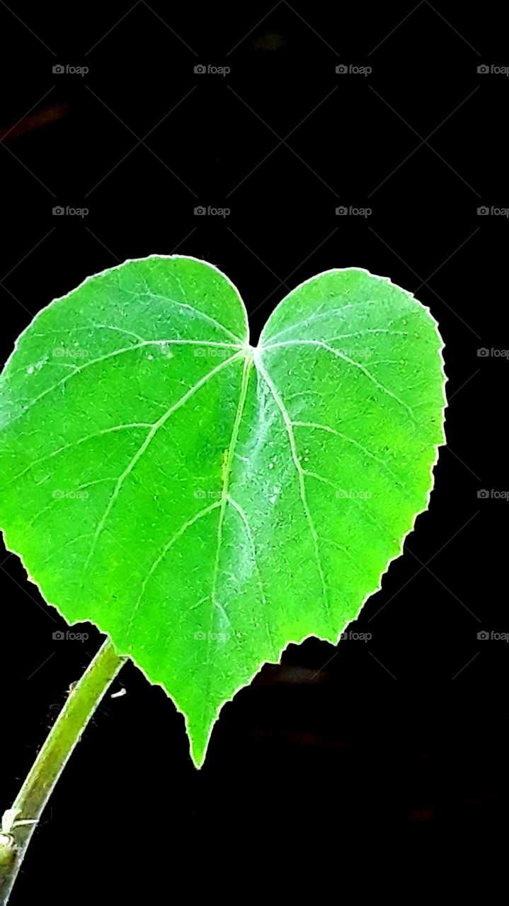 because its flashblack