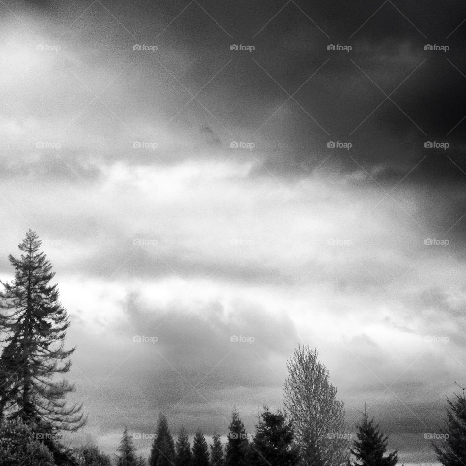 Stormy Sky with Trees