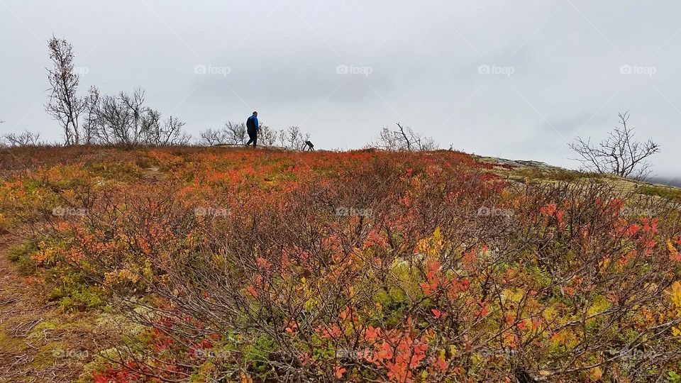 Walking in the mountains