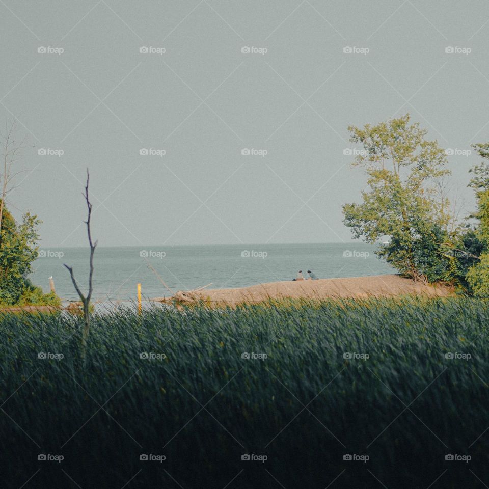 a walk in the park exploring nature in the spring