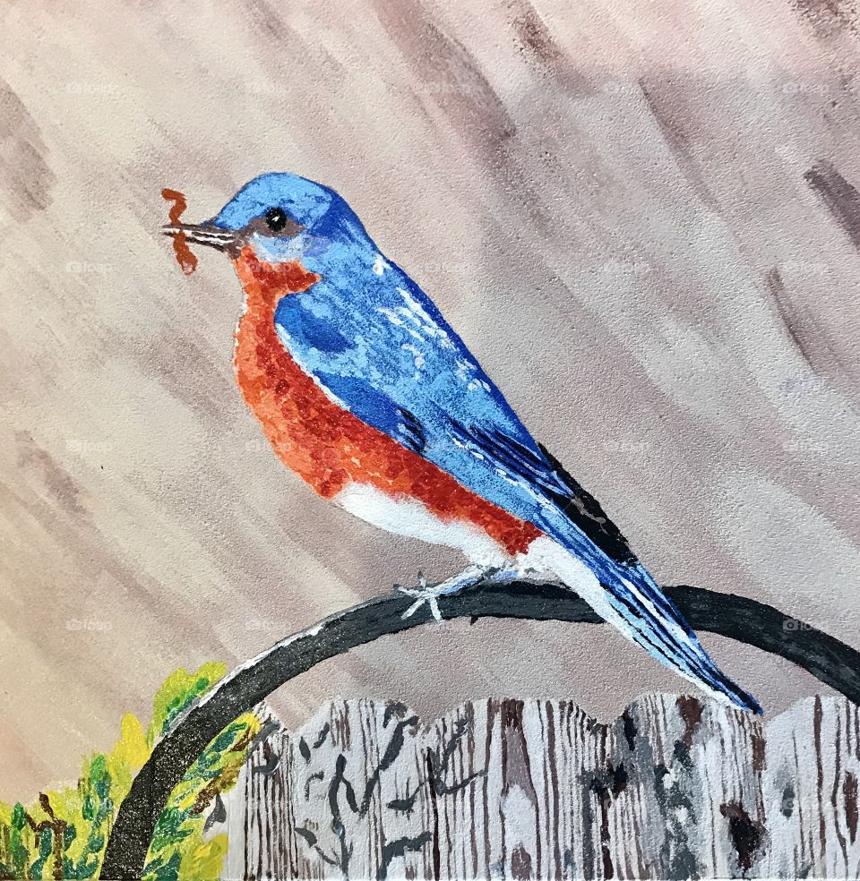 Blue bird in art