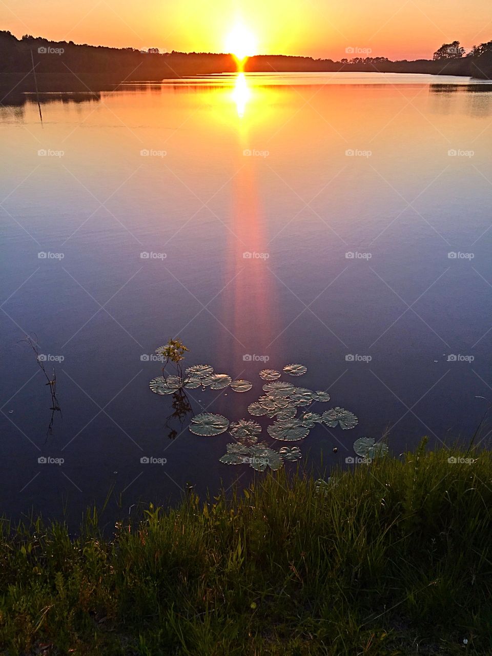 Evening in Tallahassee 