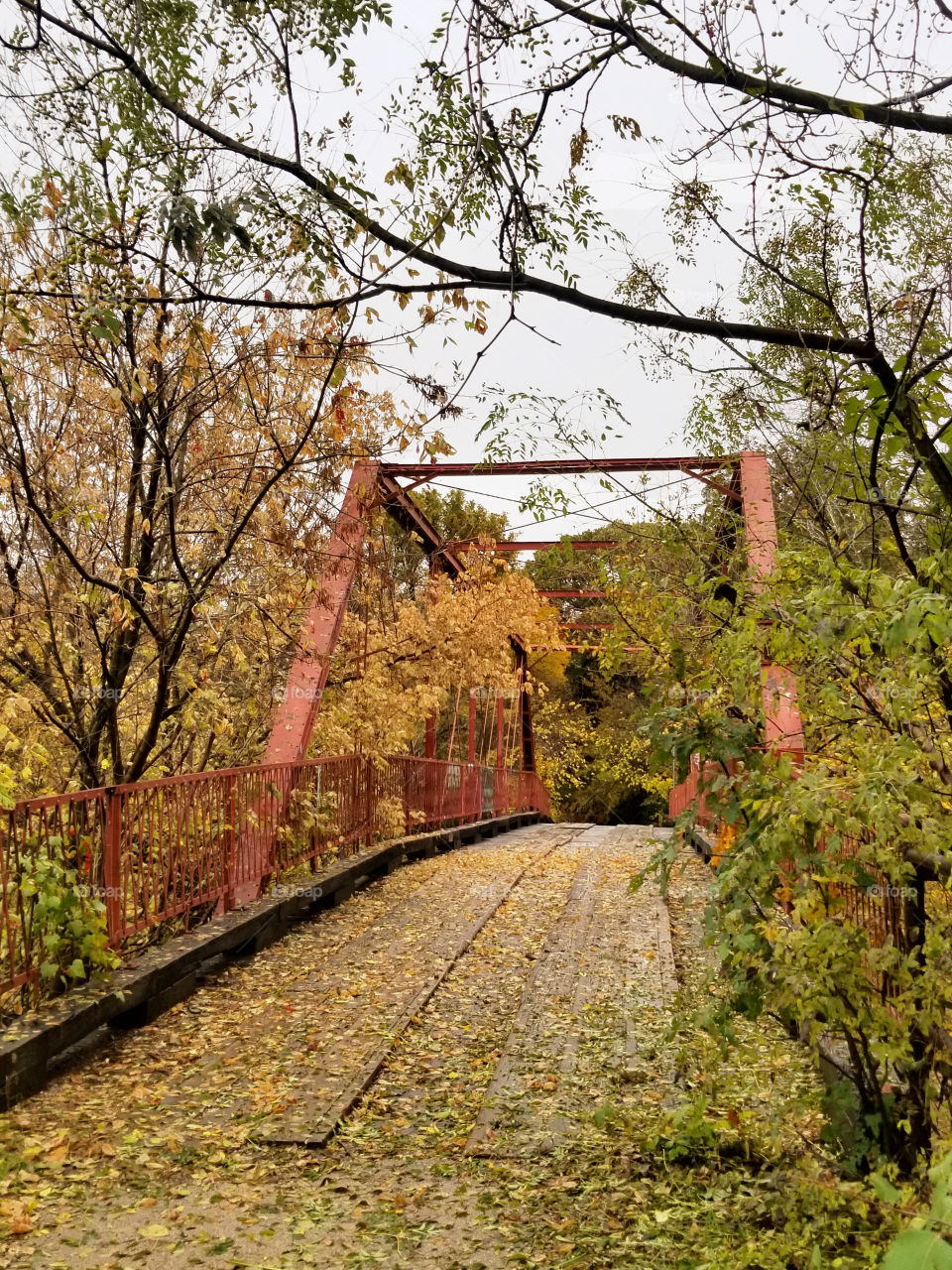 Fall Hike