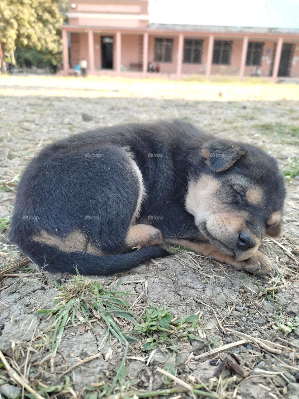 every single life deserve to be happy