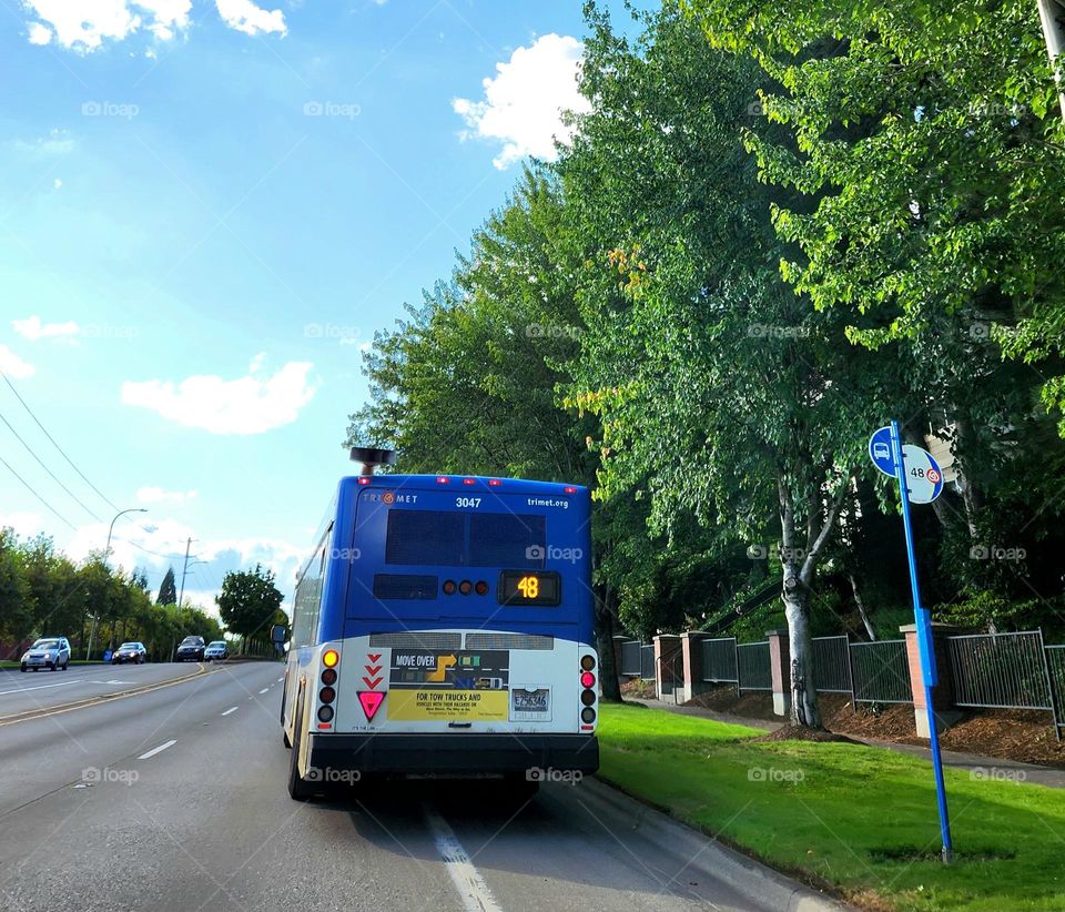 blue and white public bus on the side of the road at the stop on a sunny evening in Oregon