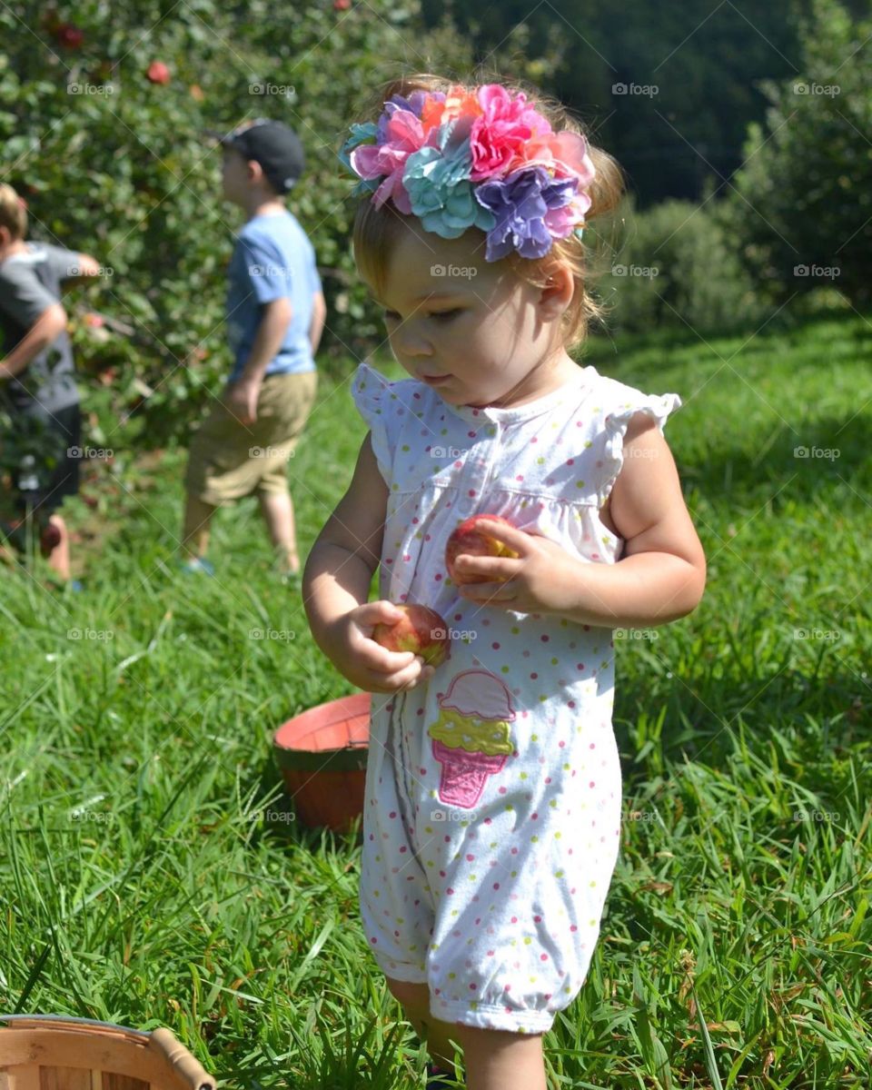 Apple picking fun