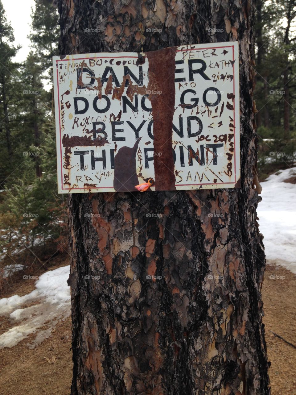 Sign in the wilderness
