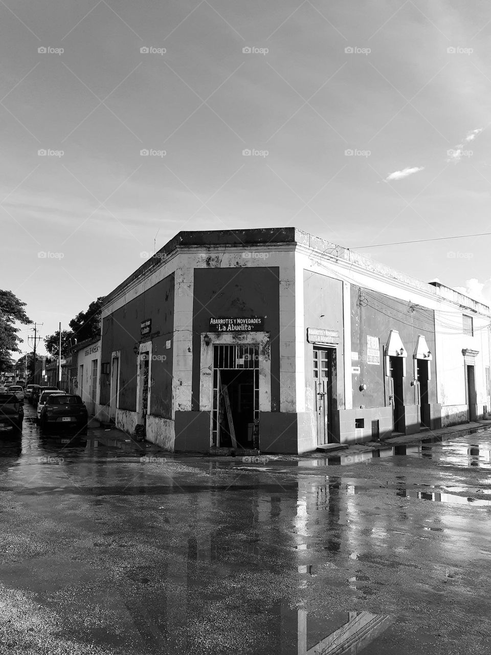 edificio en blanco y negro