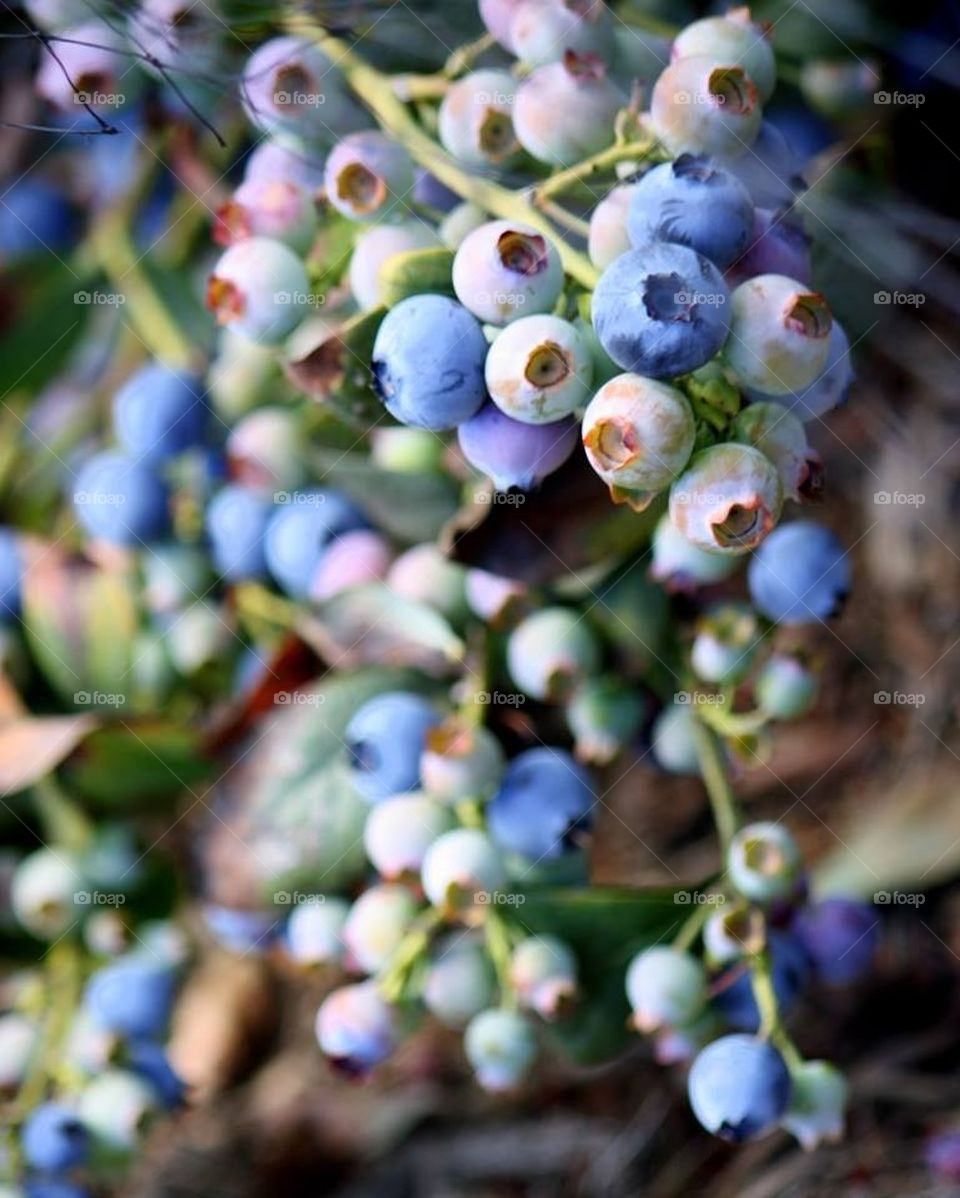 Blue by you