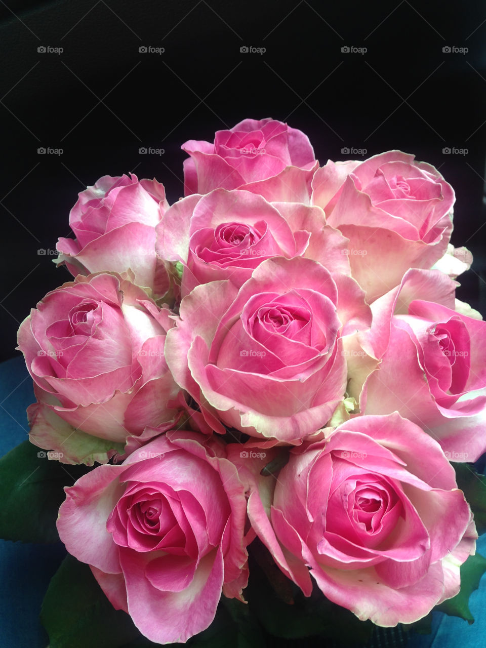 Beautiful roses 