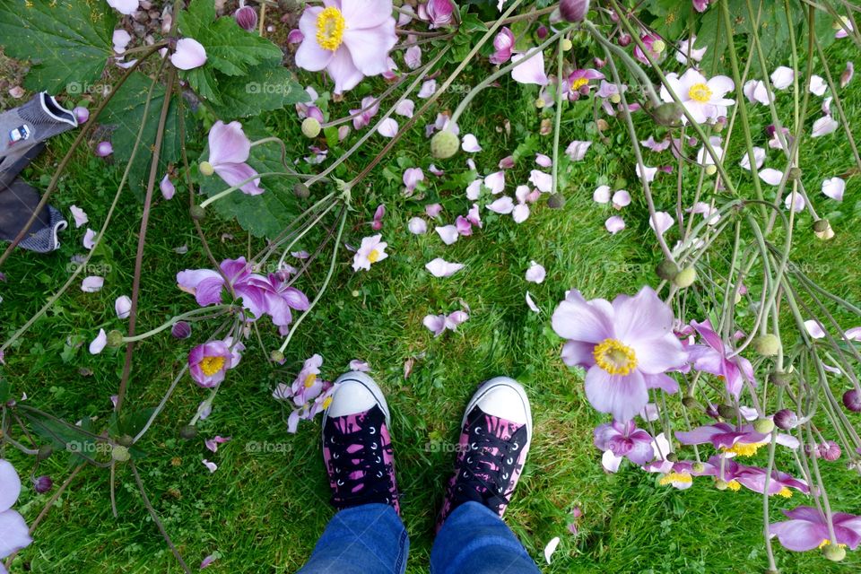 Found these flowers that matched my shoes perfectly.
