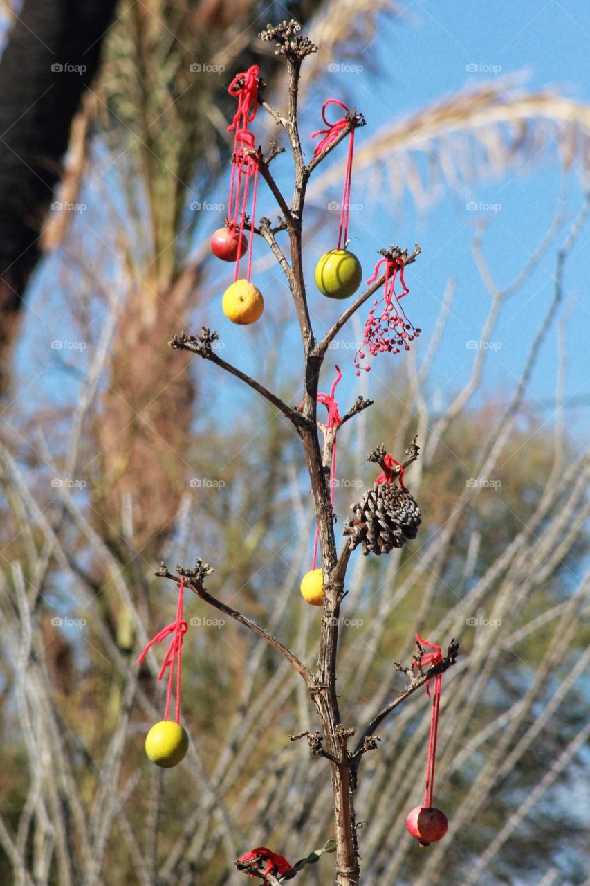 Xmas hiking in the desert