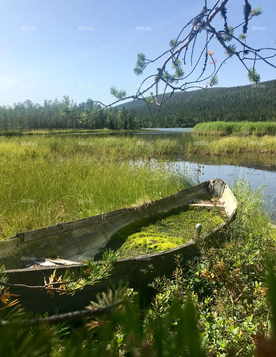 Old rowing boat