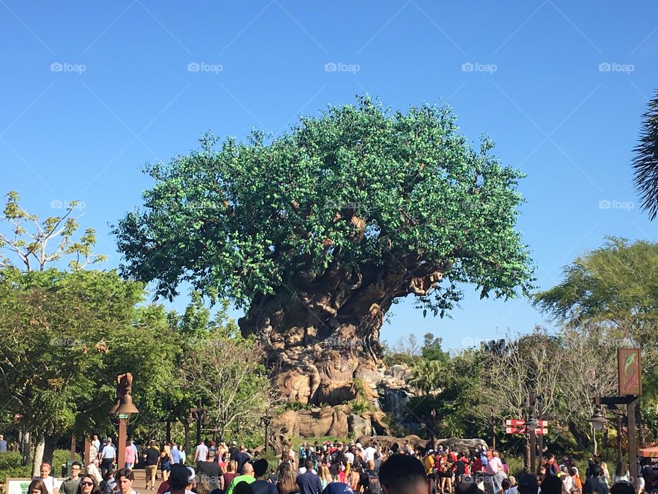 A arvore da vida de Avatar