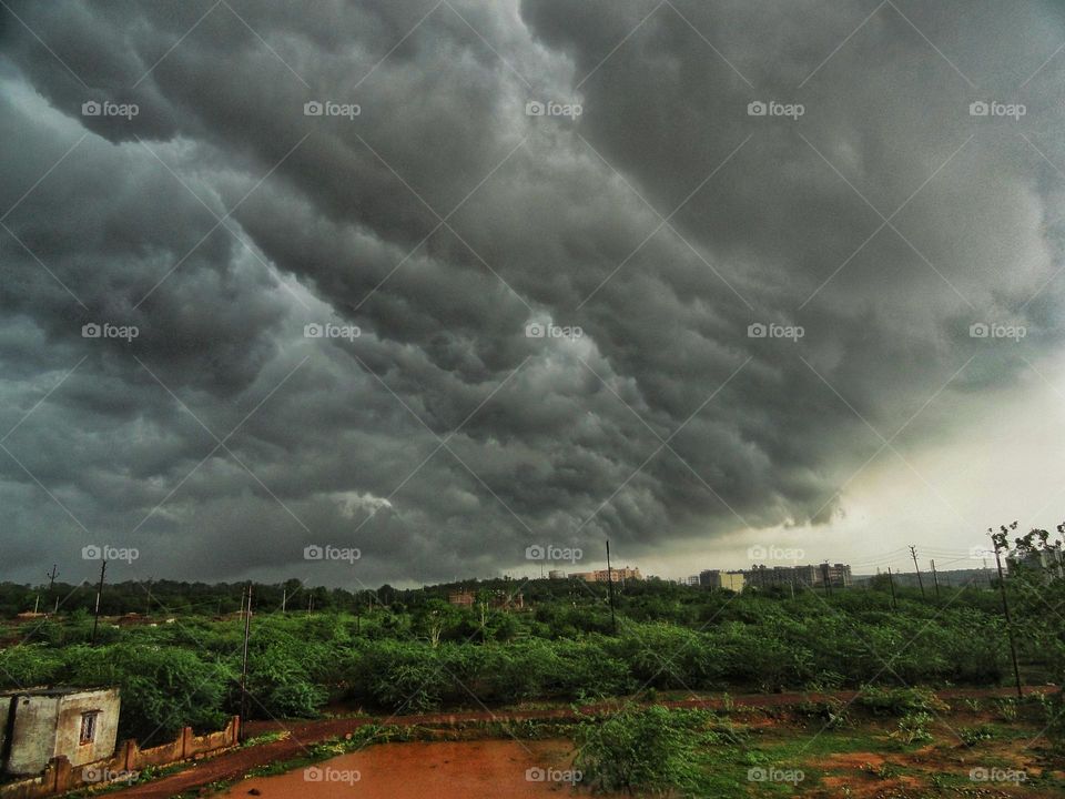 India is a very rich for it's weather 🌿🌿